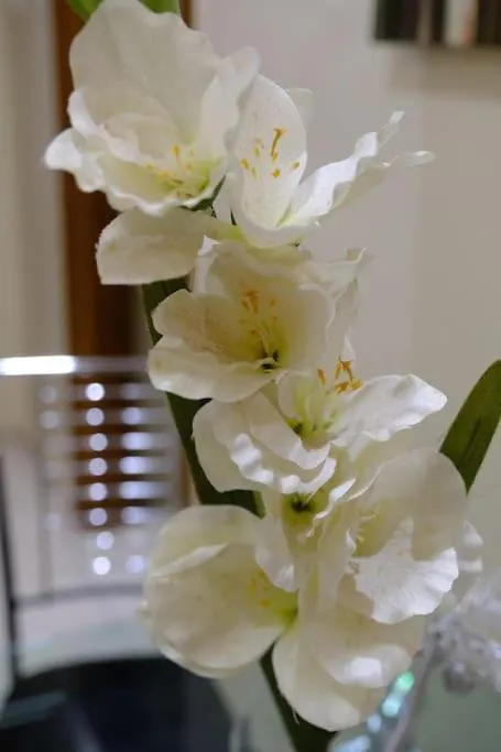 Appartement White Tower Office-Apartment Thessaloniki Griekenland